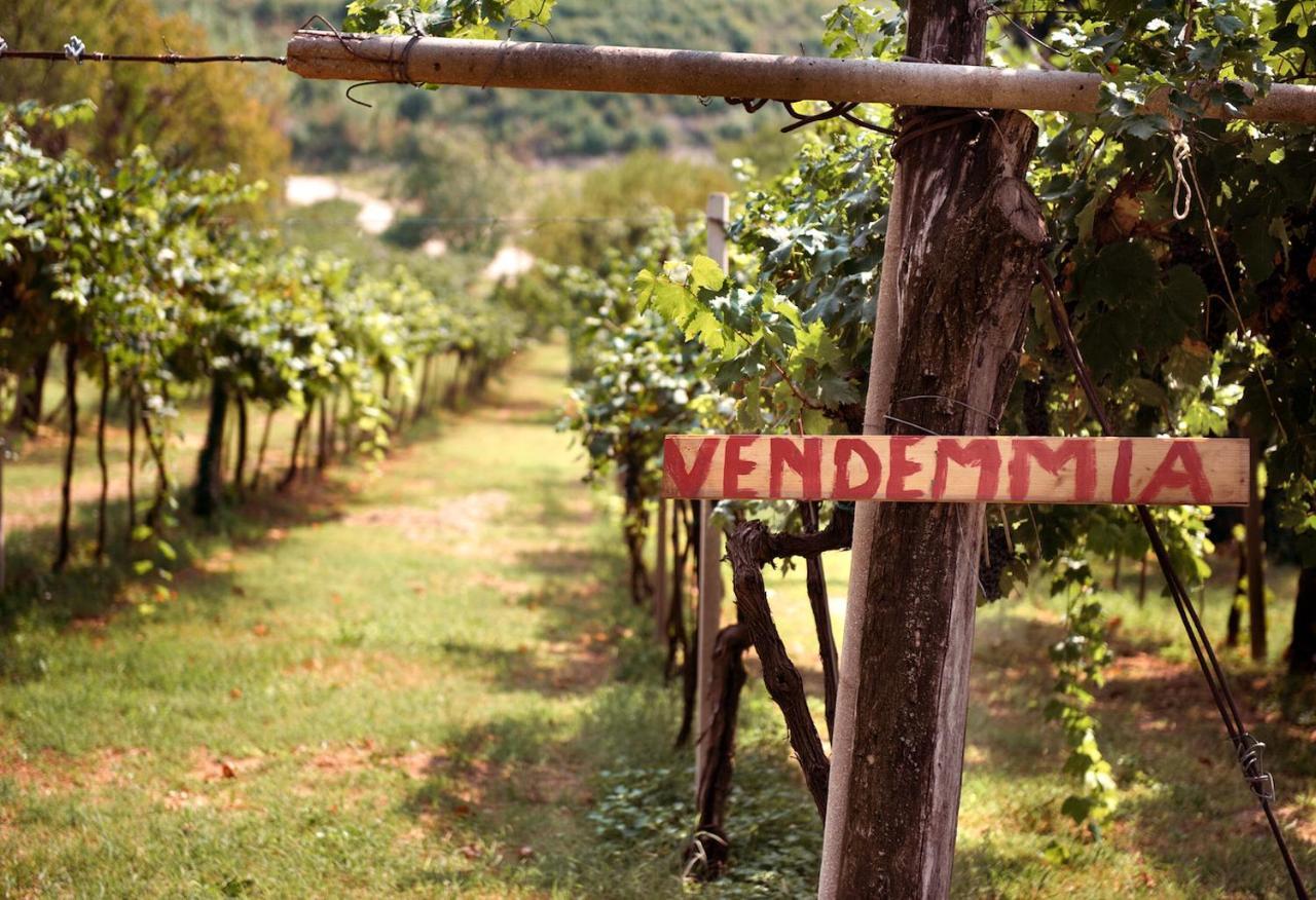 Bed & Breakfast Artemide Relais Montebelluna